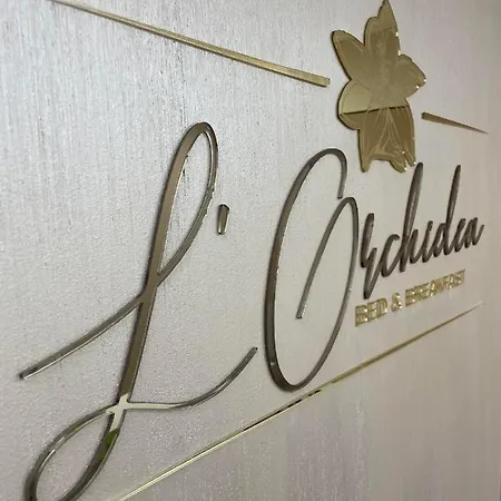 L'orchidea