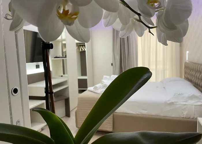 Couette-café L'orchidea