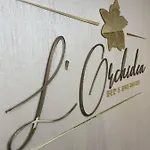 L'orchidea