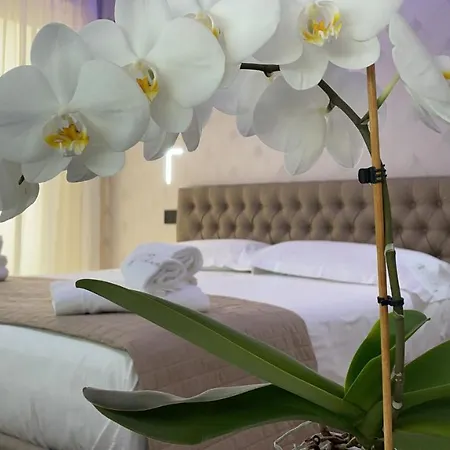 L'orchidea 4*