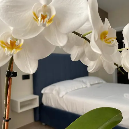 L'orchidea Bed & Breakfast