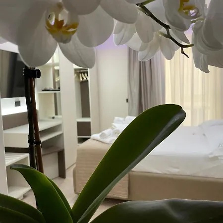Bed & Breakfast L'orchidea