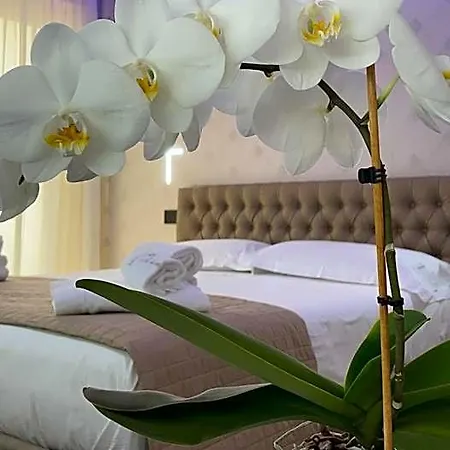 L'orchidea