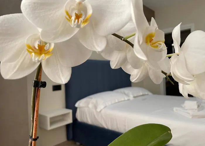 L'orchidea Отель типа 